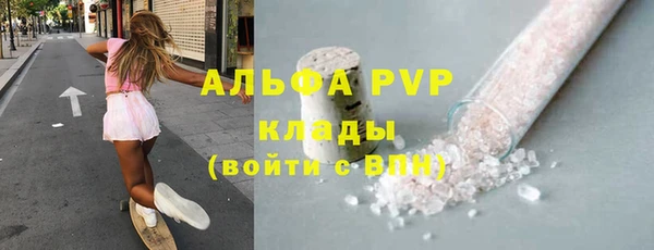 ГАЛЛЮЦИНОГЕННЫЕ ГРИБЫ Бородино